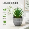 Em estoque simulação carnuda pequena sabgrass vaso desktop pequenos ornamentos presente mini bonsai verde TEMU simulação planta