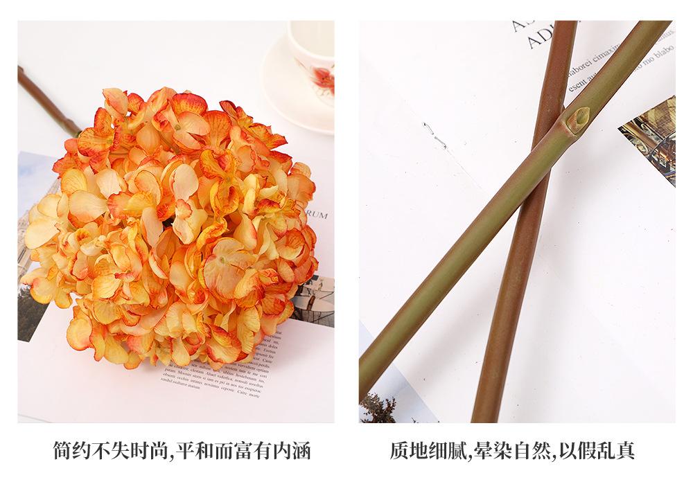 124.希腊绣球大枝_10.jpg