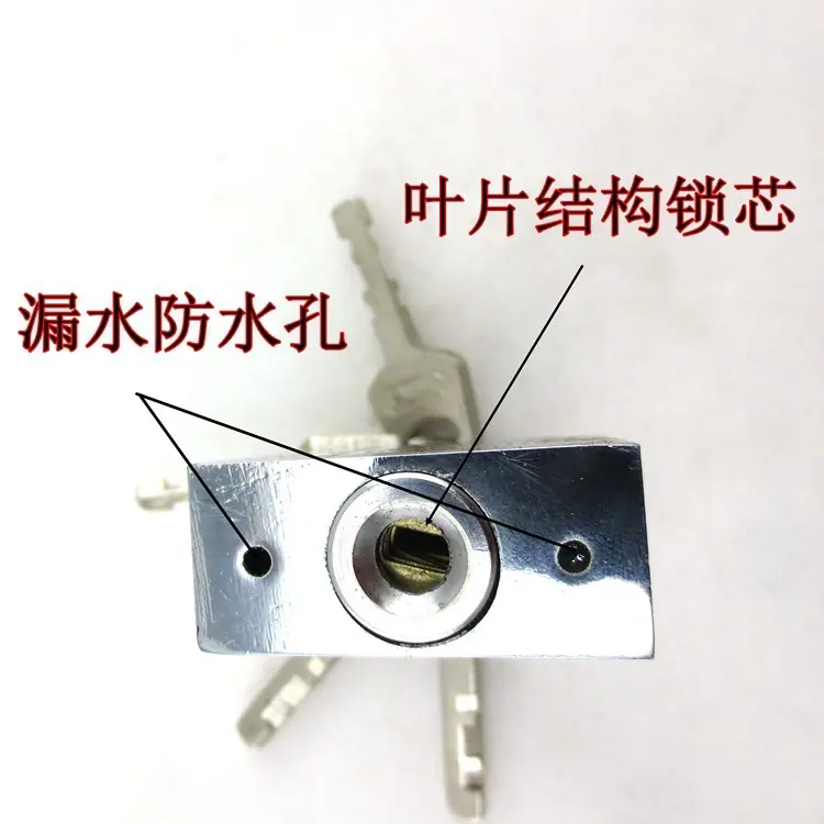 锁芯特拍叶片锁芯_副本