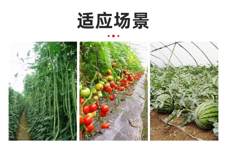 微信图片_20251218204257_49_2
