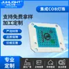 Alta Eficiencia Lumínica Cob Perlas de Luz Integradas 4046Cob Luz Roja y Azul Parche LED Belleza Médica Perlas de Luz de Alto Brillo Sin Controlador