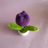 Planta de Tulipán Pequeño en Maceta Simulada de Lana Tejida Adornos de Escritorio Coche Oficina Regalos Hechos a Mano para el Día del Maestro