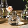 Estilo Ins Florero de Vidrio Transparente Creativo para el Hogar Interior Flores y Plantas Hidropónicas Decoración de Escritorio Venta al por Mayor