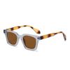 Gafas Jamie 5168 de Montura Cuadrada Nueva Gafas de Sol Heladas de Alta Gama Gafas de Sol Anti-UV