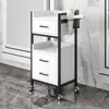 Gabinete de Barbería, Mesa de Herramientas para Salón de Peluquería, Gabinete de Herramientas para Permanente y Tinte de Salón de Peluquería, Gabinete para Cortar el Cabello, Carrito para Salón de Belleza, Equipo Estándar, Otros