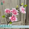 EVA magnolia hidratado de alta gama al por mayor, tacto realista, magnolia de rama larga y múltiples cabezas, transfronterizo, decoración de suelo interior