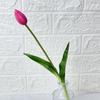 Nuevo Single Transfronterizo Fruta Grande Caucho Blando Tulipan Modelo para el Hogar Habitación de Exhibición Arreglo Floral Decoración Flor Artificial Restaurante Adornos de Escritorio