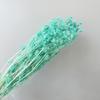 Yunnan flor eterna fruta de amante flor de apio espinoso pequeño material de flor seca diy ramo de flor seca ins decoración del hogar arreglo floral flor en botella flotante