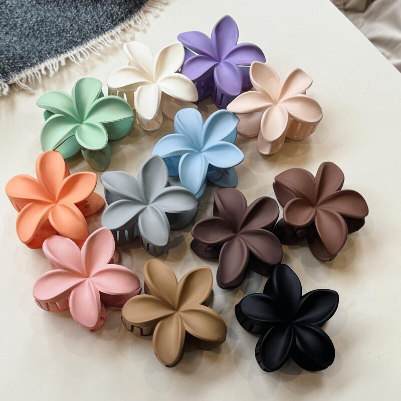 微信图片_20241115153457