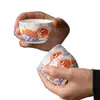 Porcelana de Jade Pintada à Mão Xícara de Chá Koi Cerâmica Kung Fu Conjunto de Chá Xícara de Mestre Xícara Única Xícara de Chá Doméstica