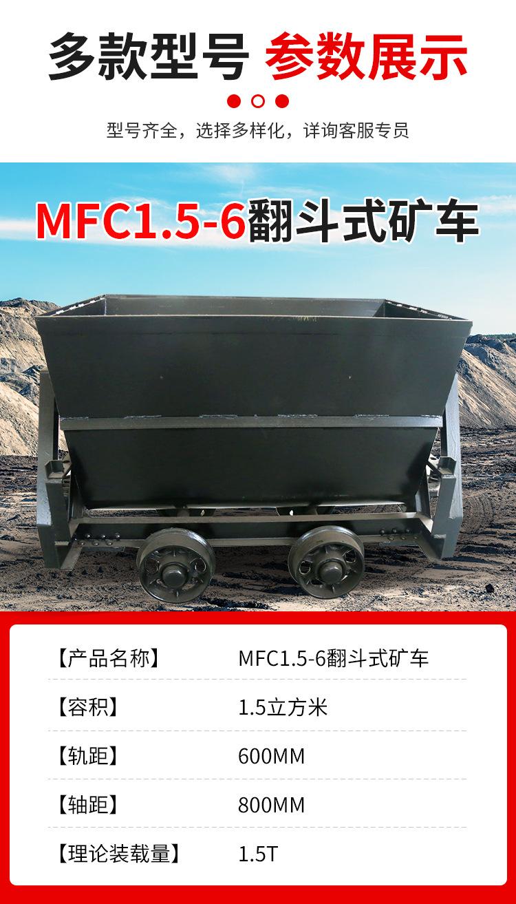 MFC1_03.jpg