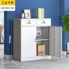 Gabinete Metálico Archivador de Oficina con Cajón con Cerradura Información Financiera Gabinete Pequeño Almacenamiento en Casa Gabinete de Herramientas de Almacenamiento