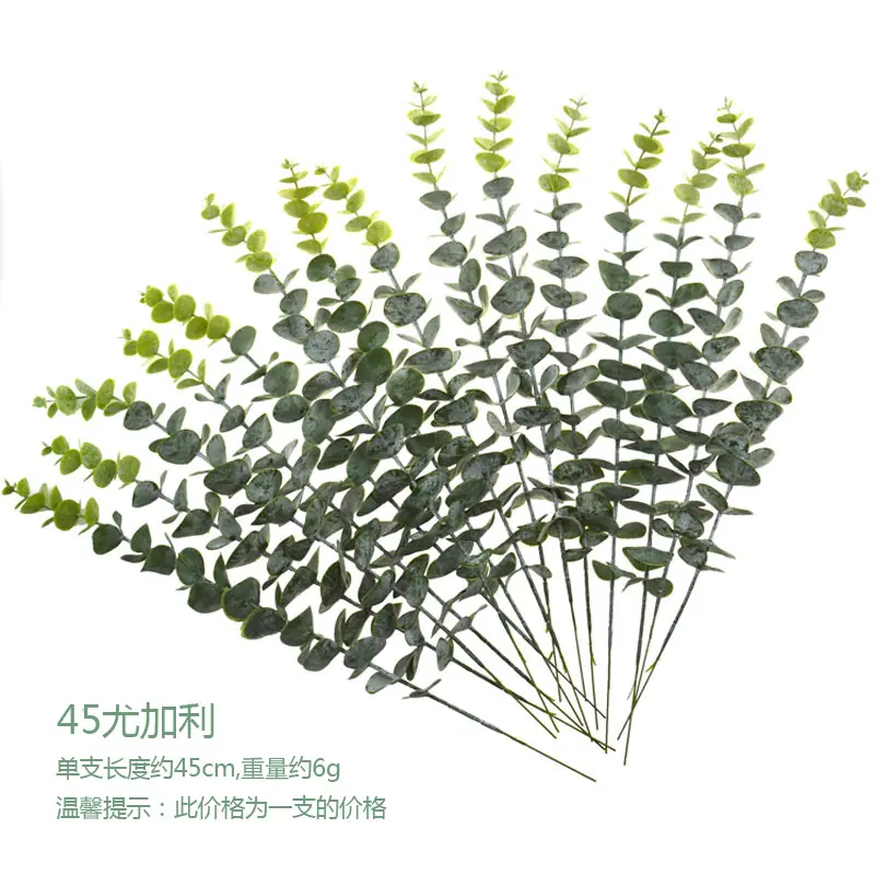 单只尤加利