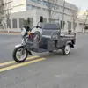 1.1 Triciclo Eléctrico Pequeño para Uso Doméstico, Vehículo a Batería para Transporte de Personas Mayores, Compras de Comestibles y Viajes, Fabricante Mayorista de Triciclos Eléctricos