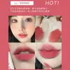 Barro Labial Mate de Terciopelo Lápiz Labial Oem Brillo Labial Barro Labial Procesamiento ODM Personalizado Brillo Labial Estilo Ins