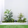 [Escena de Apilamiento Estilo Tres Caracteres] Paisaje de Flores y Hierba, Plantas Verdes, Plantas Artificiales, Musgo Decorativo, Muebles de Interior de Lujo Accesible