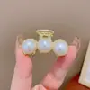 Pinza para el Cabello Exquisita de Gama Alta Estilo Coreano para Mujer Pinza de Garra Pequeña de Princesa Pinza Versátil para Flequillo Lateral Pinza Lateral Elegante