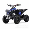 ATV recargable para niños, puramente eléctrico, 36V 800W, vehículo todoterreno pequeño de cuatro ruedas, mini buggy de playa eléctrico, pequeño rey
