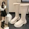 Novas botas de neve femininas de inverno 2026, forradas com fleece e espessadas, botas curtas, com sola grossa, botas Martin grandes de algodão, botas longas off-white