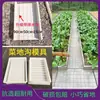 Molde Enclosure de Verduras Foso de Piedra Patio Plantilla Camino de Campo de Verduras Valla Lateral de Campo de Verduras Tablero de Cemento Suelo Lado del Huerto Zanja de Agua Pavimento