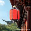 Nuevo Estilo Chino Araña de Exterior Impermeable para Exterior Linterna para Techo de Patio Jardín Pabellón Lámpara Clásica China para Balcón de Villa