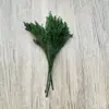 Casca de fruta faça você mesmo, pinha, lascas de madeira, folhas, flores secas, combinação de frutas secas, decoração de natal, decoração de jardim de infância, adereços retrô