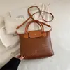 Bolsa Feminina 2025 Novo Design de Nicho Versátil Moda Textura Exquisita Pequena Bolsa Quadrada Bolsa de Ombro Único Transversal Bolsa Estilo Coreano