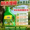 Líquido Ativador de Crescimento Rápido Espessante para Árvores Nutrição para Plantas Universal para Plantas Verdes Árvores Grandes Líquido Ativador Árvores Frutíferas Crescimento Vigoroso Crescimento Rápido Espessamento