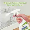 Spray quitamanchas de moho, pasta en gel quitamanchas de moho, elimina manchas de moho y mildiú, limpieza del hogar para paredes y superficies de pared, moho, manchas de mildiú, manchas de moho