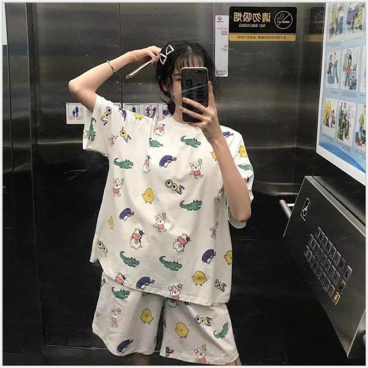 （2）兔子鳄鱼-白-短
