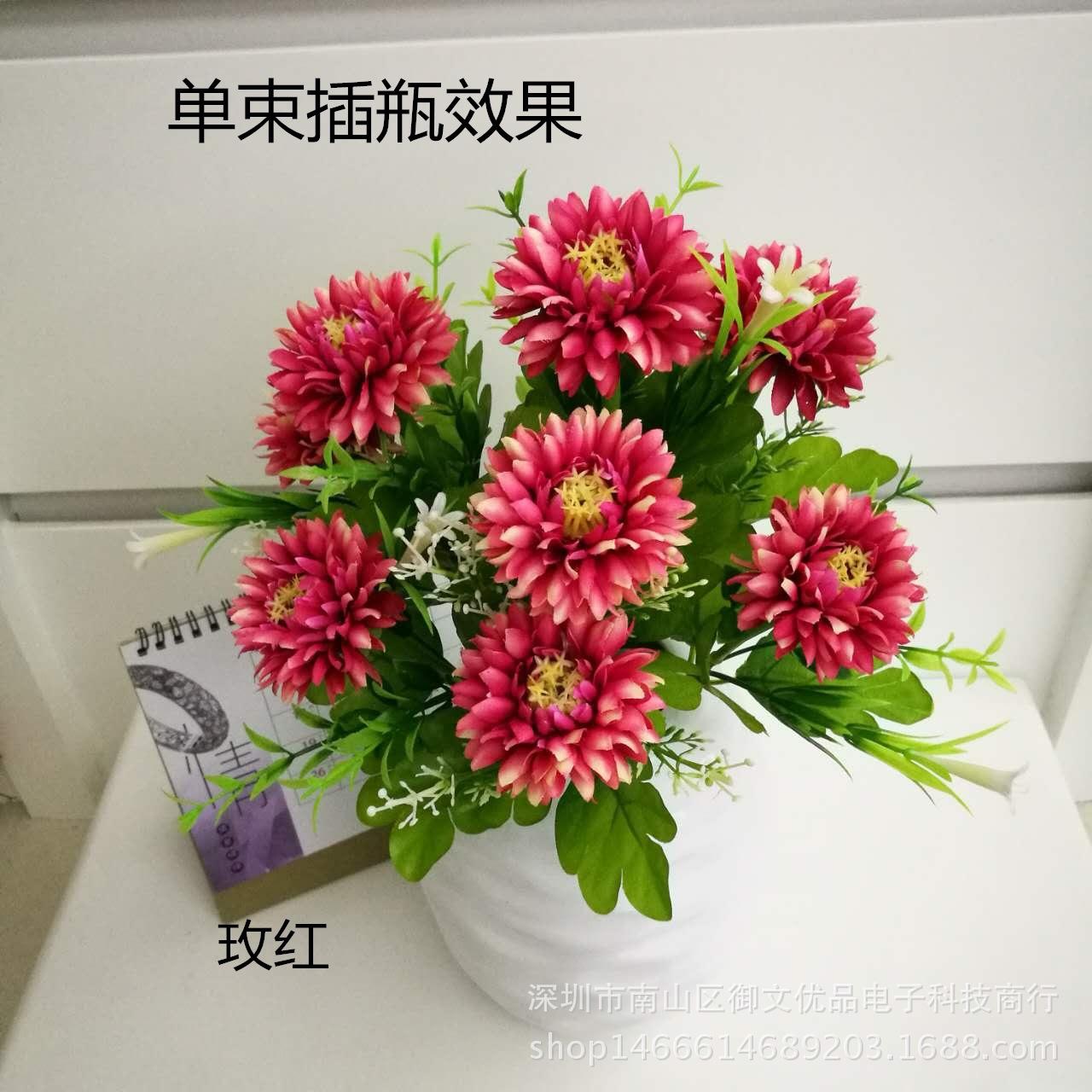 9头绿百合海葵 玫红1_副本