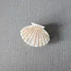 Clip de concha de ácido acético de verano oceánico Nuevo Pasador de concha de vieira Pinza de tiburón para la parte trasera de la cabeza Pinza de sentido avanzado Accesorios para el cabello