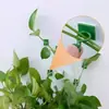 Clips para Trepar Plantas Verdes Sin Taladro, Sujetadores para Enredaderas, Clips Invisibles Autoadhesivos para Dar Forma a Plantas Adecuados para Plantas Verdes
