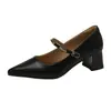 Sapatos Mary Jane com salto grosso, fivela e boca rasa, combinados com saia, sapatos de salto alto elegantes de bico fino femininos, novidade primavera e outono 2026