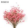 Venta al por mayor de fabricantes Ramos de flores secas DIY Flor de Kapok Flores hechas a mano Decoraciones florales Hoja de abanico Flores reales Caña Flores eternas
