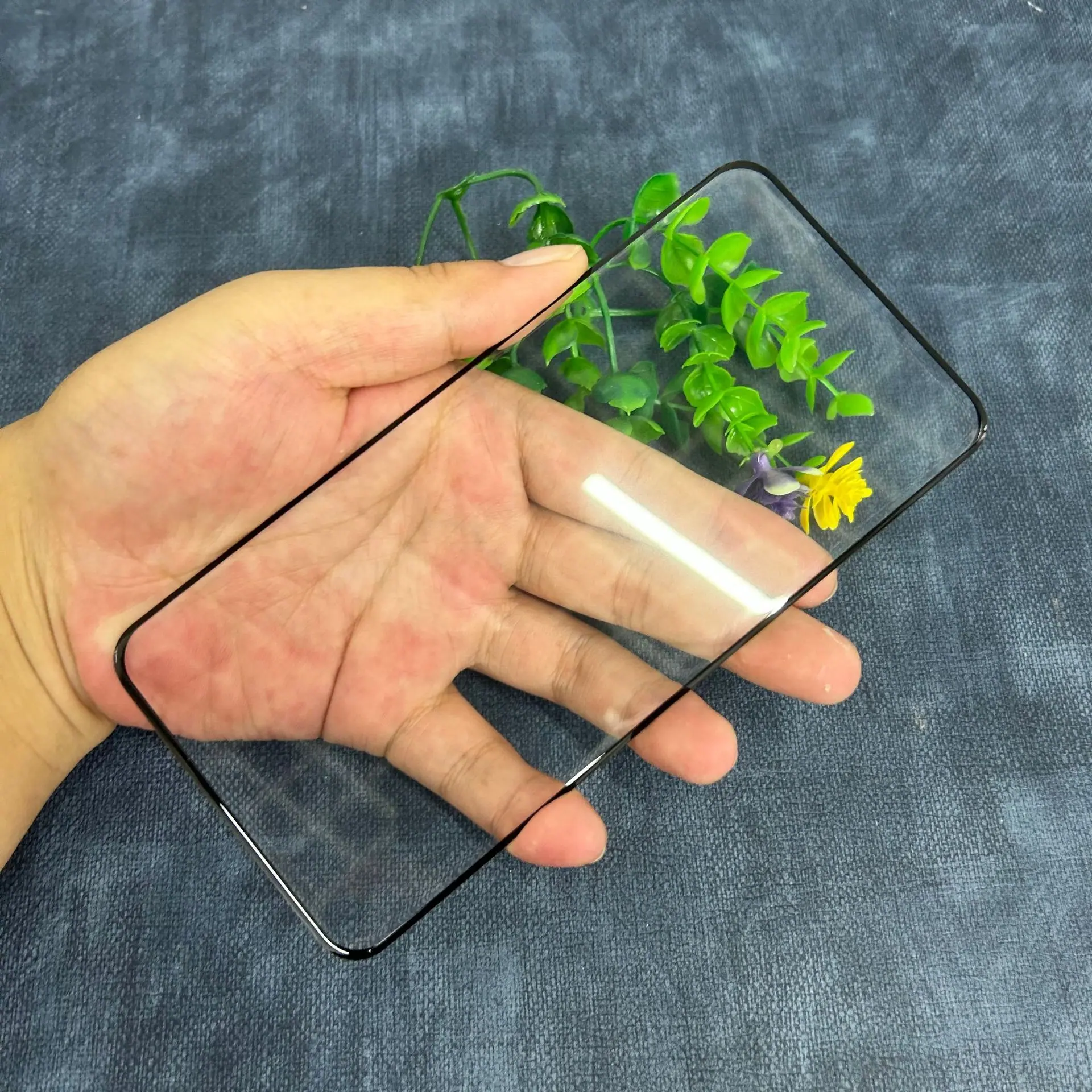 微信图片_20231027154600