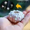 Cabide Abacaxi de Ar Mini Abacaxi de Ar Base de Mola Suporte de Madeira Regador de Névoa Fina Prateleira Fixa Overlord