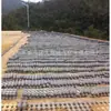 Tijolos de Gramado Bem Moldados, Tijolos de Gramado Duráveis para Pavimentação, Tijolos de Cimento para Gramado, Fornecimento Direto de Fábrica