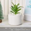 Tetera de Porcelana Blanca Dehua Maceta Suculenta Blanco Puro Jardinería Moderna para el Hogar Cerámica Maceta Pequeña Transfronteriza Simple Maceta para Suculentas