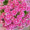 Planta de Kalanchoe en Maceta con Flores Grandes Dobles y Capullos, Resistente y Fácil de Cuidar Durante Todo el Año, Planta de Floración Interior, Planta Verde de Escritorio