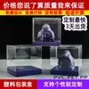 Fabricante Produce Cajas Transparentes de Plástico para Mascotas, Cajas de Embalaje para Manualidades, Productos Culturales y Creativos, Cajas Transparentes de PVC, Cajas Plegables de Alta Transparencia