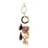 Sonajeros de Cáscara de Semilla y Fruta, Carrillones de Viento Hechos a Mano, Campanas Colgantes Sanadoras, Colgantes de Fruta de Planta, Colgantes para Mochila, Decoraciones para Coche, Accesorios