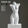 Soporte de Exhibición para Maniquí de Ropa Interior Maniquí de Medio Cuerpo Masculino Femenino Soporte para Maniquí de Sujetador Push Up Calzones Maniquí Accesorios para Fotografía Modelo de Pecho