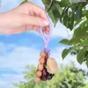 Estilo Bosque Sanación Natural Cáscara de Fruta Carrillón de Viento Colgante DIY Hecho a Mano Creativo Llavero Decoración para Bolsos Venta al por Mayor en Stock