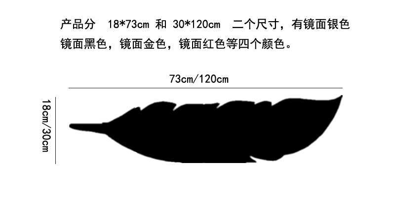 大羽毛1