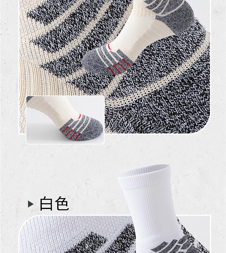 未标题-1_11.jpg