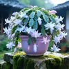 Planta em vaso de orquídea garra de caranguejo multicolorida com botões, haste madura requintada de pétalas duplas, uma planta verde florida que floresce o ano todo e é fácil de cuidar em ambientes internos