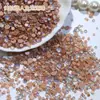 Outono e Inverno Contas de Sereia Maillard Joias de Diamante para Unhas Cor de Café Tamanho Misto Sola Lisa Pequeno Diamante Redondo Acessórios de Unha Vestíveis