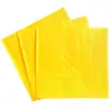 Guardanapos de Papel Monocromáticos Transfronteiriços Festa de Aniversário Guardanapos Monocromáticos de Camada Dupla Guardanapos de Papel para Restaurante Ocidental Guardanapos de Papel Descartáveis Estampados