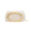 Bolso de Mano de Nicho Transfronterizo para Fiesta de Noche para Mujer, Bolso de Hombro con Cadena de Moda Europea y Americana, Diseño Elegante, Bolso Cruzado de Moda